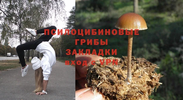 каннабис Богородицк