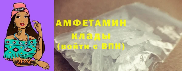 шишки Богданович