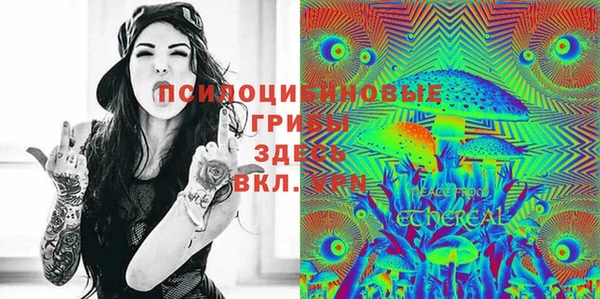 шишки Богданович