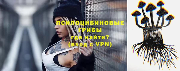 шишки Богданович